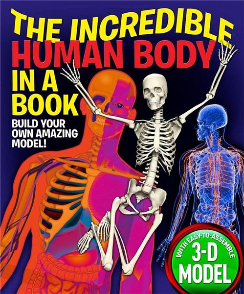 The Incredible Human Body in a Book | Claire Hawcock
