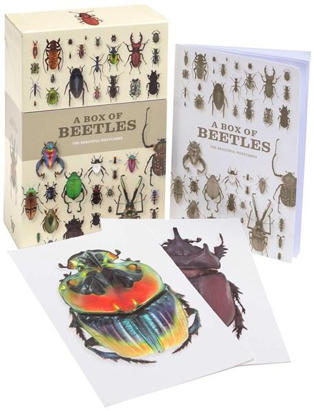 Carte postala - A Box of Beetles: 100 | The Ivy Press