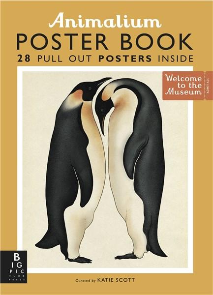 Animalium Poster Book - mai multe modele | Suzanna Davidson