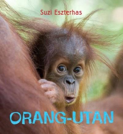 Orang-Utan (Eye on the Wild) | Suzi Eszterhas