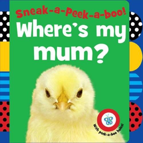Sneak-a-peek-a-boo! Where\'s My Mum? | Jane Horne
