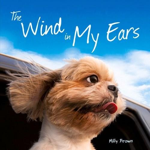 Vezi detalii pentru The Wind in My Ears | Milly Brown