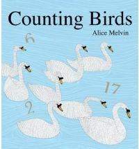 Counting Birds | Alice Melvin