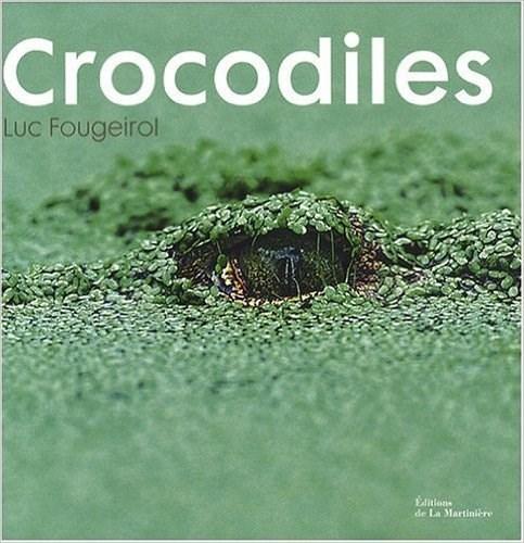 Crocodiles | Luc Fougeirol