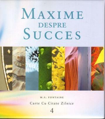 Maxime despre Succes Nr. 4 | Maria Fontaine