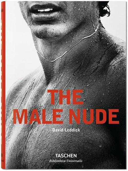 The Male Nude | David Leddick