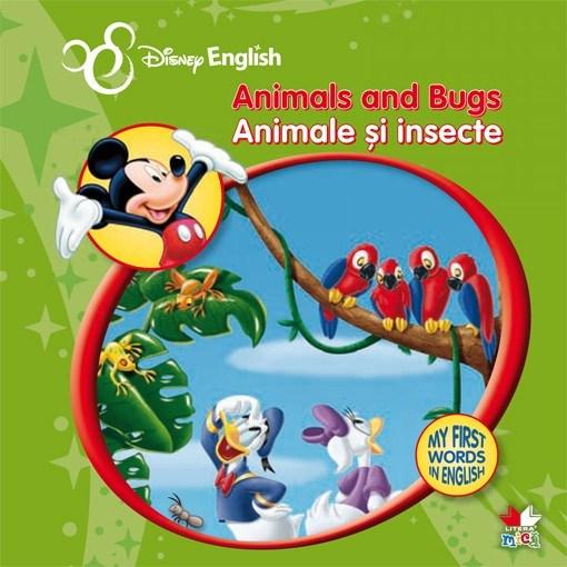 Animals and Bugs. Animale si insecte. My First Words in English | adolescenti