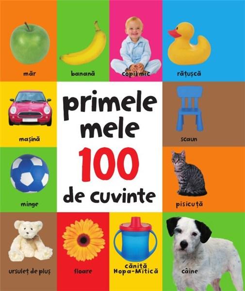 Primele mele 100 de cuvinte |