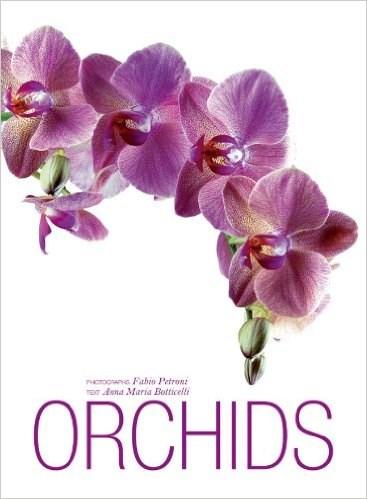 Orchids | Fabio Petroni, Natalia Fedeli