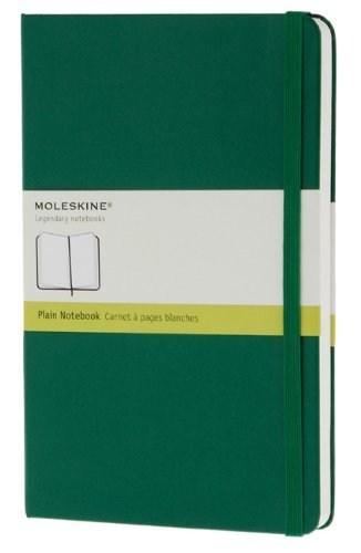 Notebook Plain Oxide Green Hard Cover Large | Moleskine