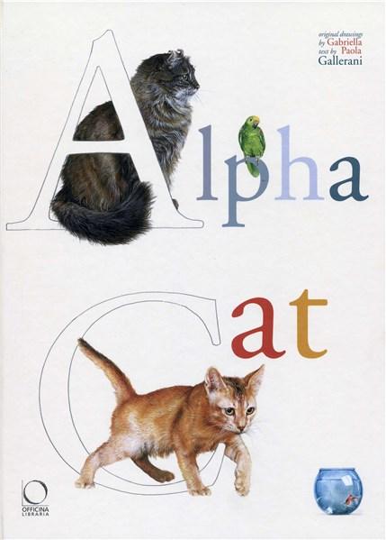 Alpha Cat | Paul Gallerani