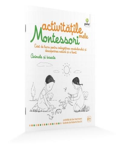 Timpul – Activitatile mele Montessori | carturesti.ro imagine 2022