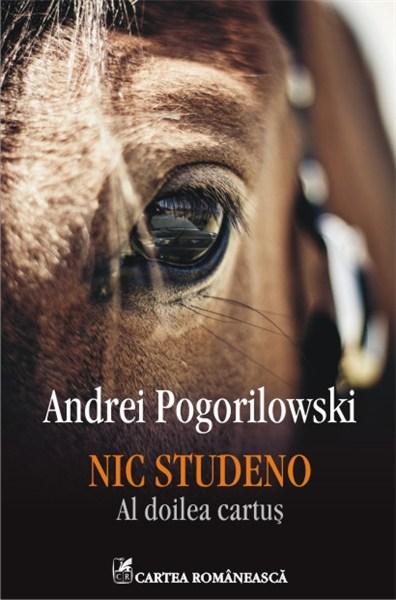 Nic Studeno | Andrei Pogorilowski