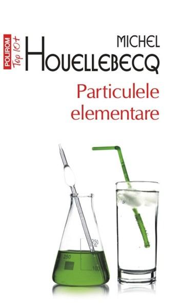 Particulele elementare (Top 10) | Michel Houellebecq