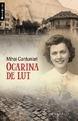 Ocarina de lut | Mihai Cantuniari