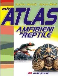 Mic atlas. Amfibieni si reptile | Aurora Mihail, Dumitru Murariu