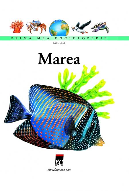 Marea - Larousse |