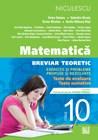 Matematica Cls. a X-a. Breviar teoretic cu exercitii si probleme propuse si rezolvate | Victor Nicolae, Petre Simion