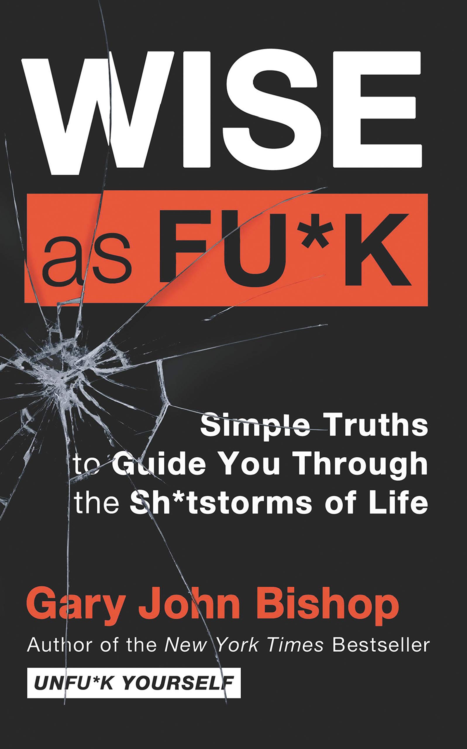 Wise as Fu*k | Gary John Bishop
