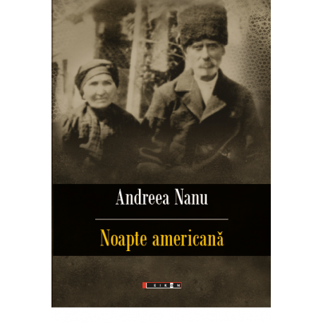 Noapte americana | Andreea Nanu