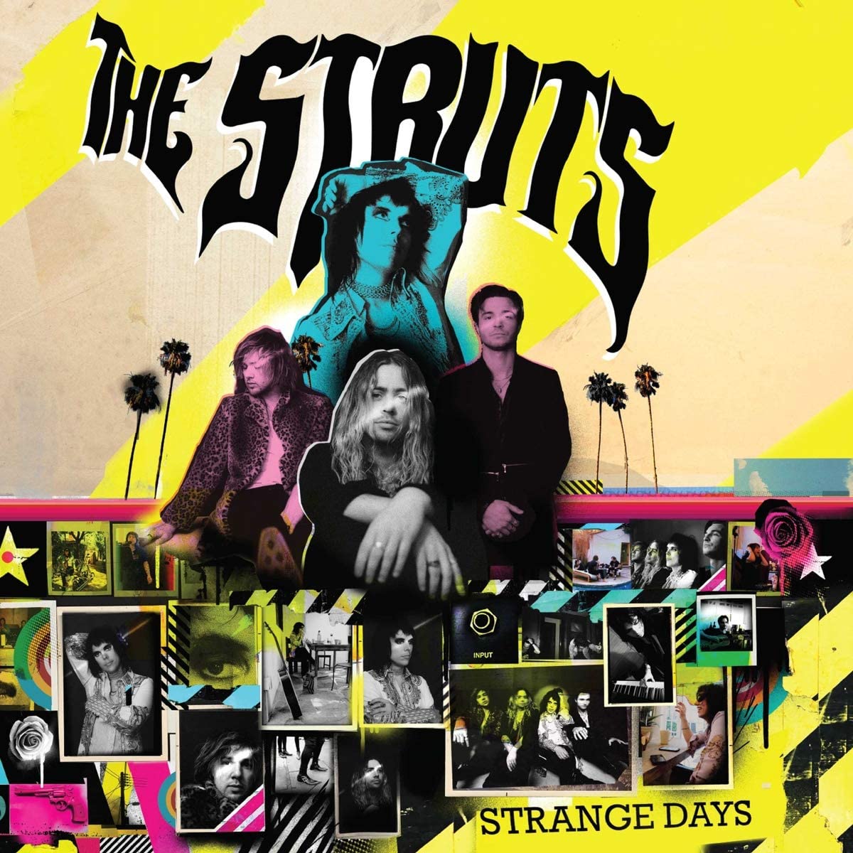 Strange Days | The Struts carturesti.ro poza noua