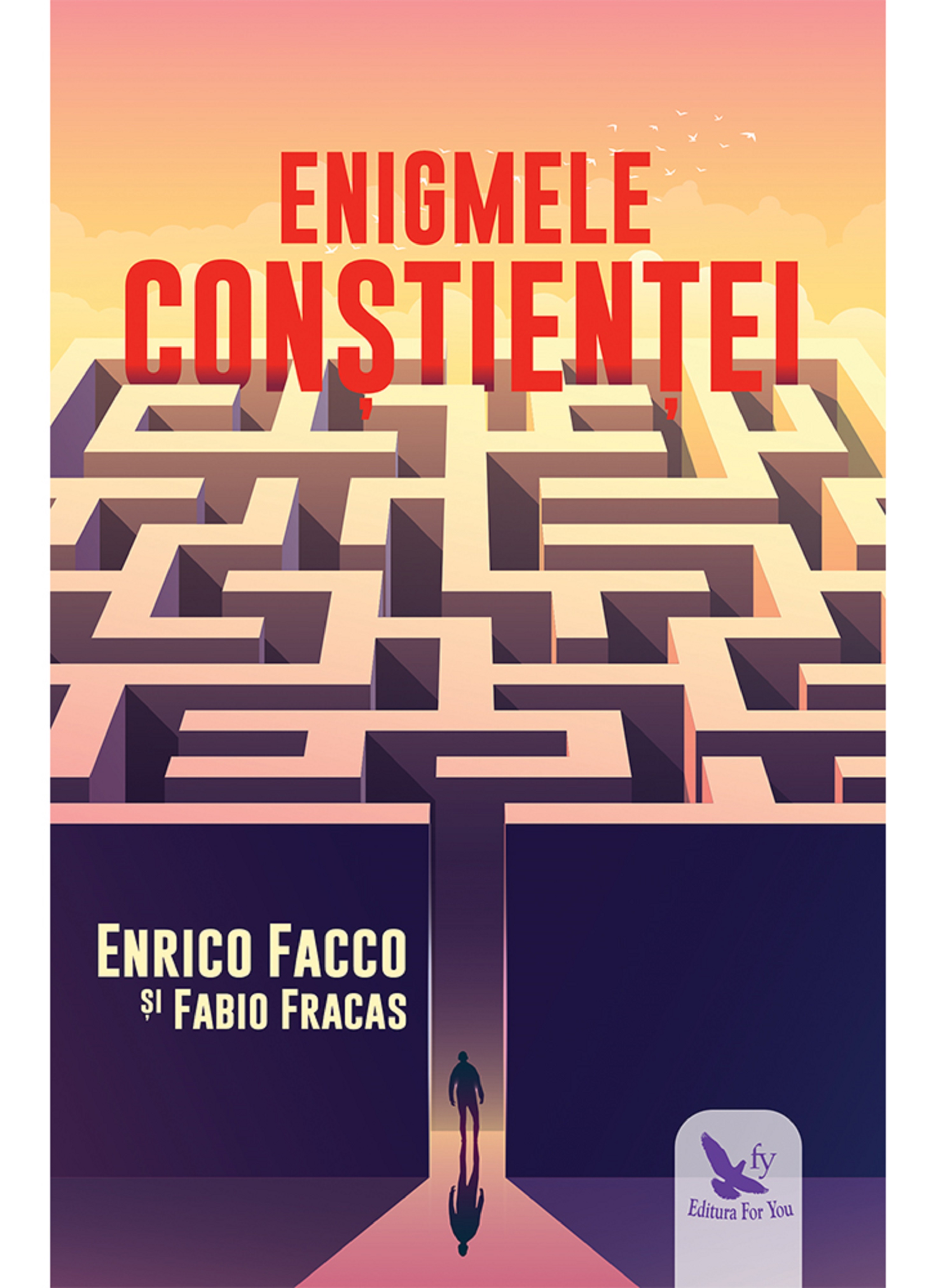 Enigmele constientei | Enrico Facco, Fabio Farcas Carte 2022