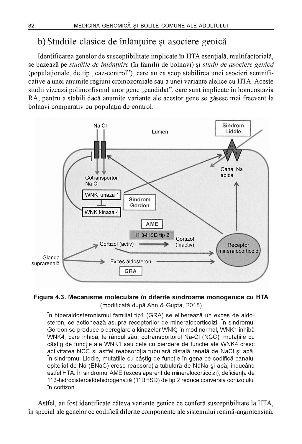 Medicina genomica si bolile comune ale adultului | Adrian Covic, Eusebiu Vlad Gorduza, Mircea Covic - 5 | YEO